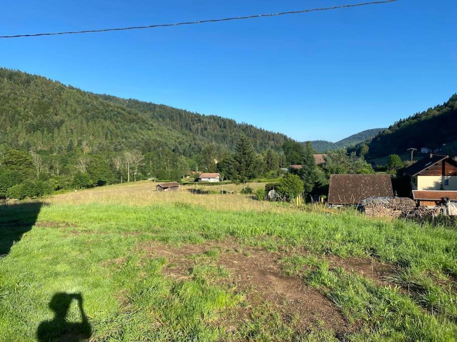 Appartement 5 Personnes Avec Espace Plein Air Saint-Maurice-sur-Moselle Buitenkant foto